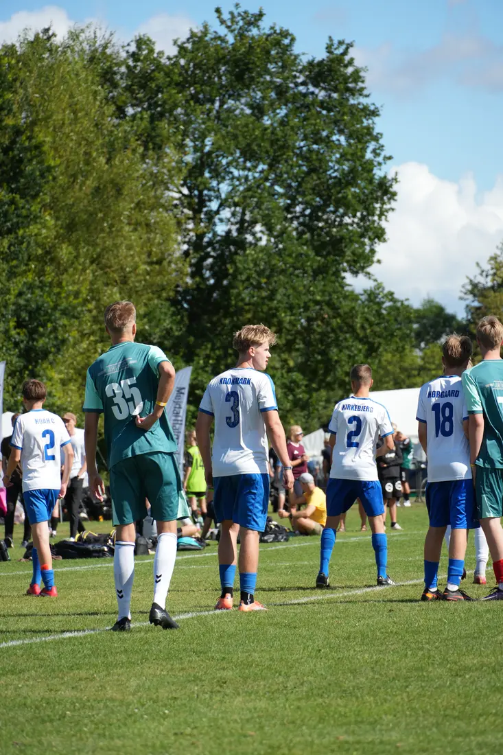 Vildbjerg