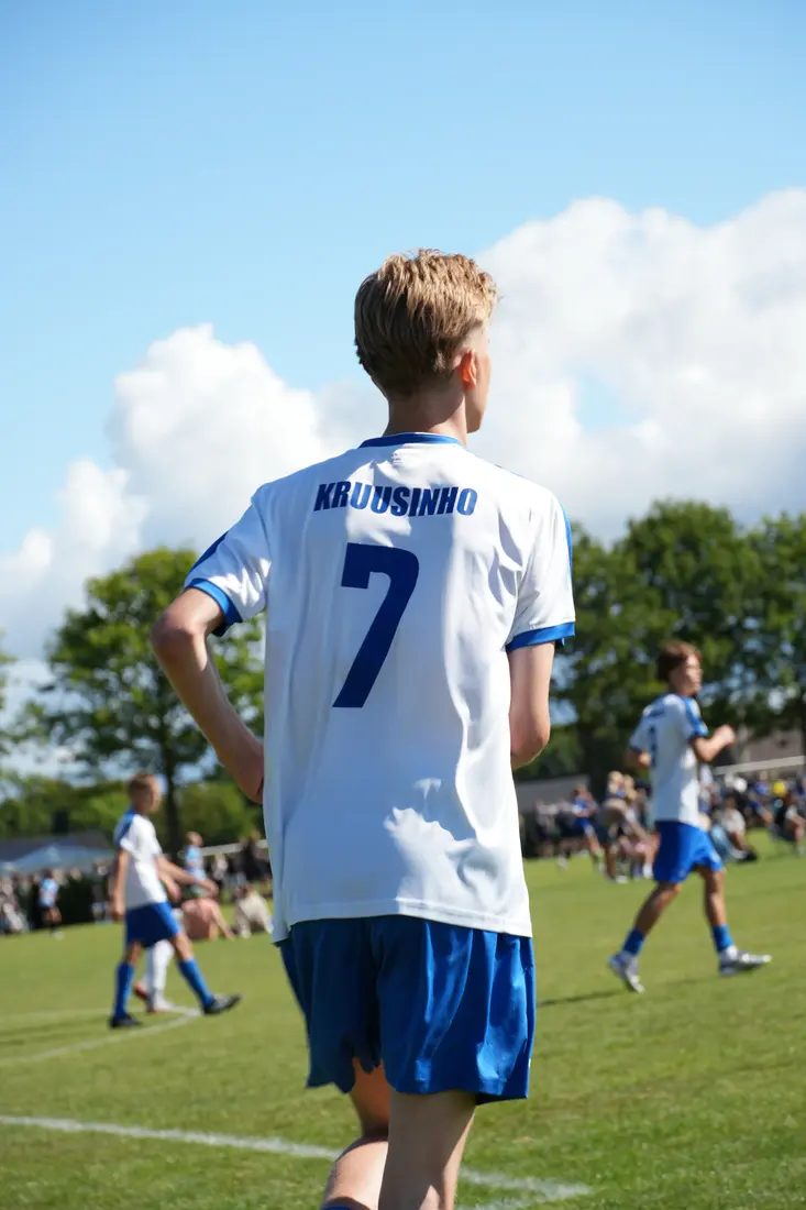 Vildbjerg